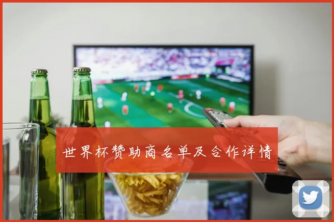 世界杯赞助商名单及合作详情